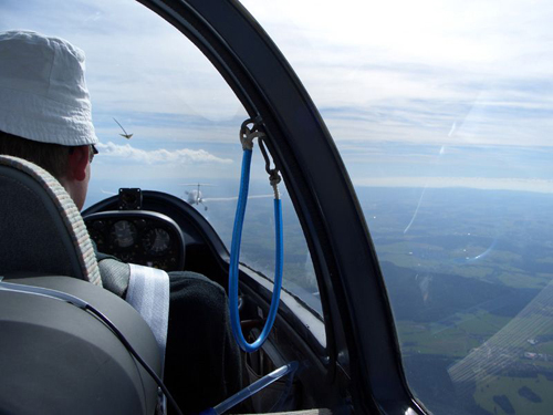 fliegen fliegen